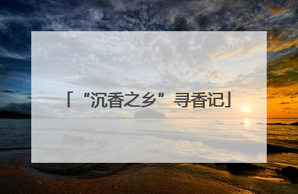 “沉香之乡”寻香记