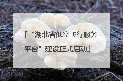 “湖北省低空飞行服务平台”建设正式启动