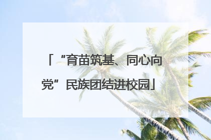 “育苗筑基、同心向党”民族团结进校园