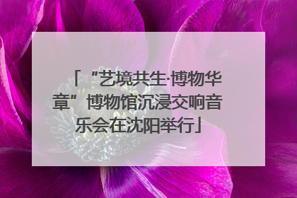 “艺境共生·博物华章”博物馆沉浸交响音乐会在沈阳举行