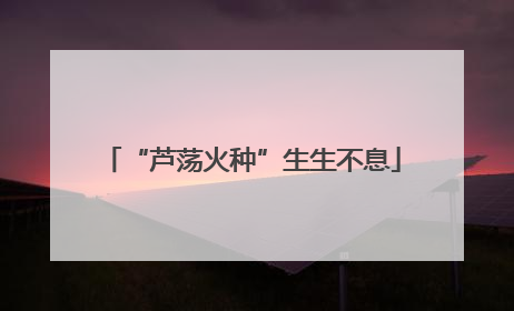 “芦荡火种”生生不息