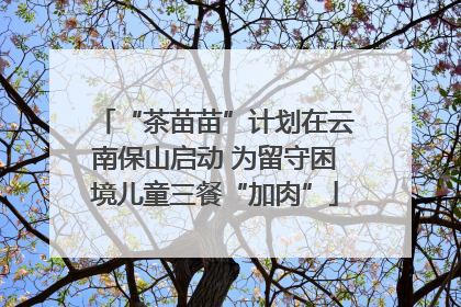 “茶苗苗”计划在云南保山启动 为留守困境儿童三餐“加肉”