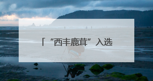 “西丰鹿茸”入选中国品牌价值榜