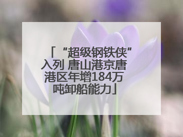 “超级钢铁侠”入列 唐山港京唐港区年增184万吨卸船能力