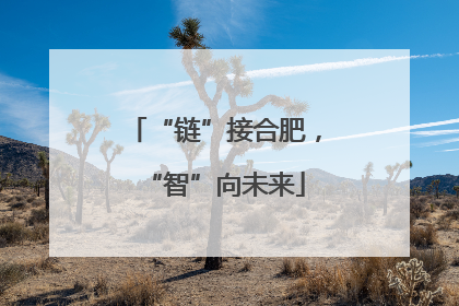 “链”接合肥，“智”向未来
