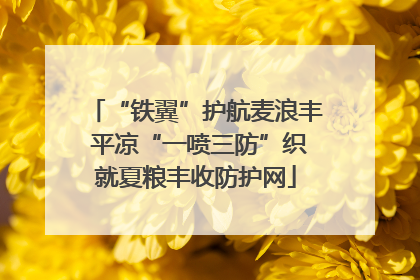 “铁翼”护航麦浪丰 平凉“一喷三防”织就夏粮丰收防护网