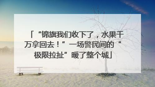 “锦旗我们收下了，水果千万拿回去！”一场警民间的“极限拉扯”暖了整个城