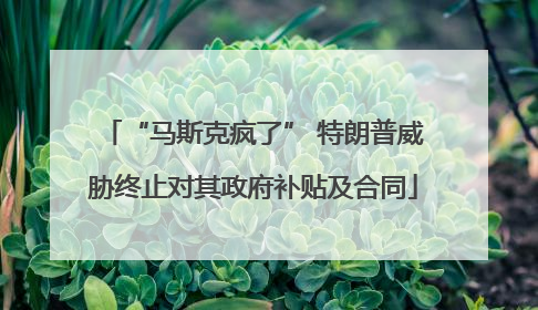 “马斯克疯了” 特朗普威胁终止对其政府补贴及合同