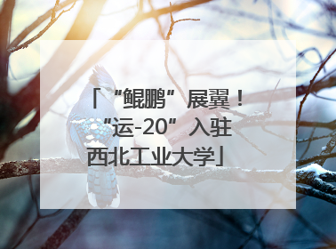 “鲲鹏”展翼！“运-20”入驻西北工业大学