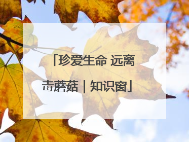 珍爱生命 远离毒蘑菇｜知识窗