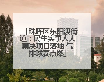 珠晖区东阳渡街道：民生实事人大票决项目落地 气排球赛点燃