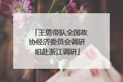 王勇带队全国政协经济委员会调研组赴浙江调研