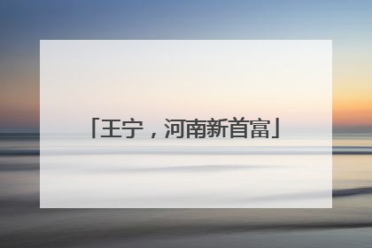 王宁，河南新首富