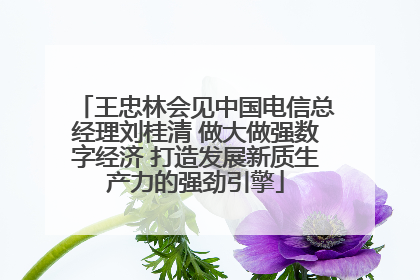 王忠林会见中国电信总经理刘桂清 做大做强数字经济 打造发展新质生产力的强劲引擎