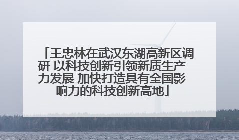 王忠林在武汉东湖高新区调研 以科技创新引领新质生产力发展 加快打造具有全国影响力的科技创新高地