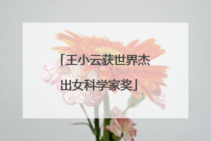 王小云获世界杰出女科学家奖