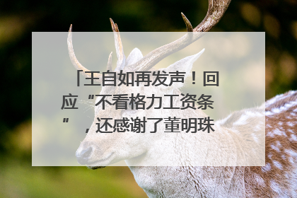 王自如再发声！回应“不看格力工资条”，还感谢了董明珠和雷军｜热财经