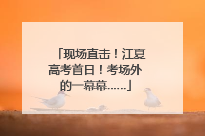现场直击！江夏高考首日！考场外的一幕幕……