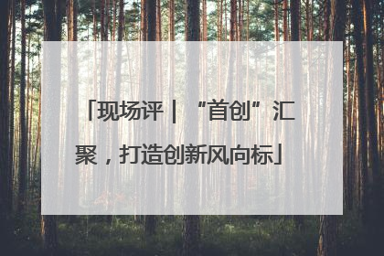 现场评｜“首创”汇聚，打造创新风向标
