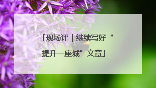 现场评｜继续写好“提升一座城”文章