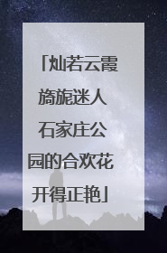 灿若云霞 旖旎迷人 石家庄公园的合欢花开得正艳