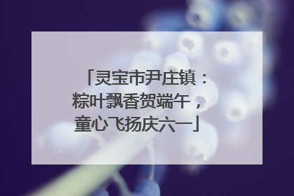 灵宝市尹庄镇：粽叶飘香贺端午，童心飞扬庆六一