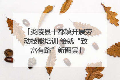 炎陵县十都镇开展劳动技能培训 绘就“致富有路”新图景