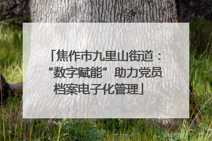 焦作市九里山街道：“数字赋能”助力党员档案电子化管理