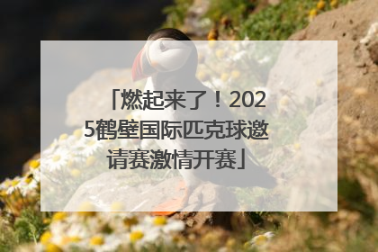 燃起来了！2025鹤壁国际匹克球邀请赛激情开赛