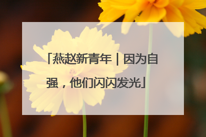 燕赵新青年｜因为自强，他们闪闪发光