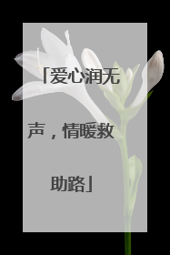 爱心润无声，情暖救助路