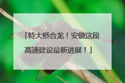 特大桥合龙！安徽这段高速建设最新进展！