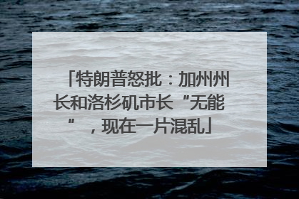 特朗普怒批：加州州长和洛杉矶市长“无能”，现在一片混乱
