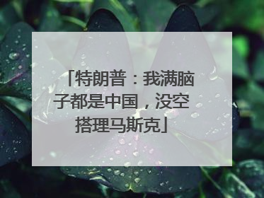 特朗普：我满脑子都是中国，没空搭理马斯克