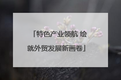 特色产业领航 绘就外贸发展新画卷