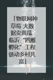 物联网种草莓 大数据卖黄瓜 临沂“四雁孵化”工程链动乡村共富