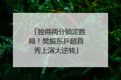 独得两分锁定胜局！樊振东乒超首秀上演大逆转