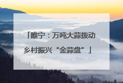 睢宁：万吨大蒜拨动乡村振兴“金蒜盘”