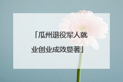 瓜州退役军人就业创业成效显著