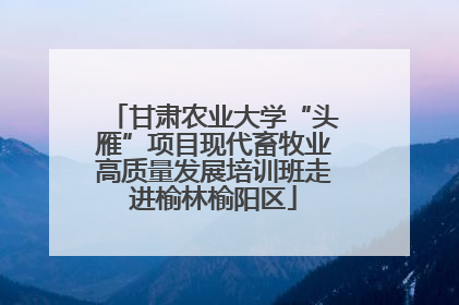 甘肃农业大学“头雁”项目现代畜牧业高质量发展培训班走进榆林榆阳区