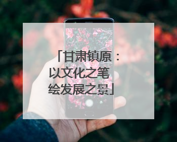 甘肃镇原：以文化之笔 绘发展之景