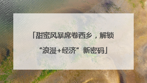 甜蜜风暴席卷西乡，解锁“浪漫+经济”新密码