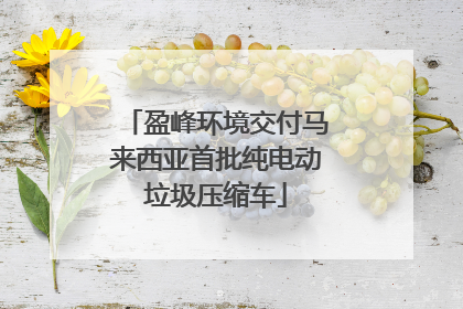 盈峰环境交付马来西亚首批纯电动垃圾压缩车