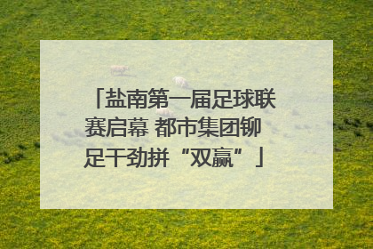 盐南第一届足球联赛启幕 都市集团铆足干劲拼“双赢”