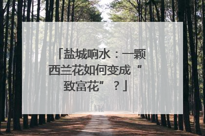 盐城响水：一颗西兰花如何变成“致富花”？