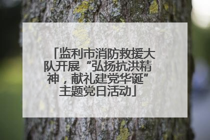 监利市消防救援大队开展“弘扬抗洪精神，献礼建党华诞”主题党日活动