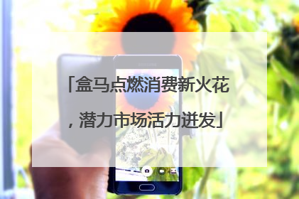 盒马点燃消费新火花，潜力市场活力迸发