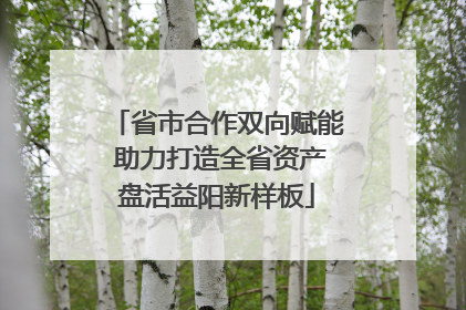 省市合作双向赋能 助力打造全省资产盘活益阳新样板