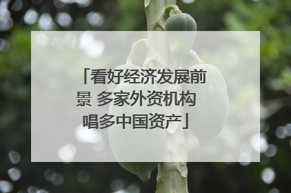 看好经济发展前景 多家外资机构唱多中国资产