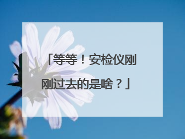 等等！安检仪刚刚过去的是啥？